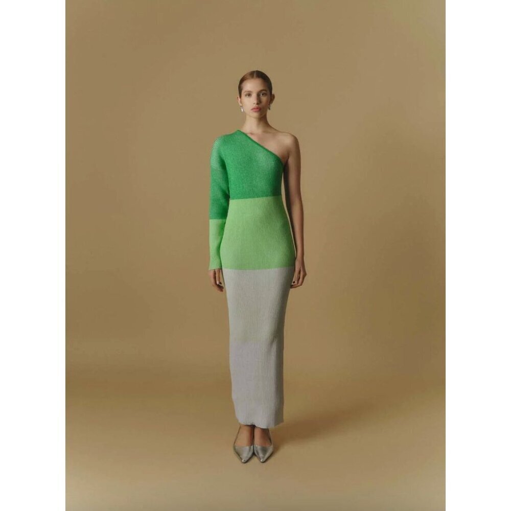 Baobab Leaves Knit One Shoulder Maxi Dress Pistachio Cream Womens Size XS